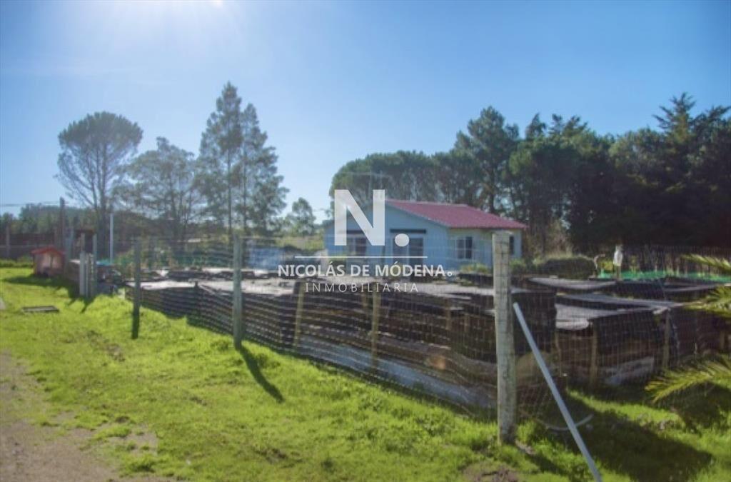 Chacra importante en R. 39 con 700 m2.