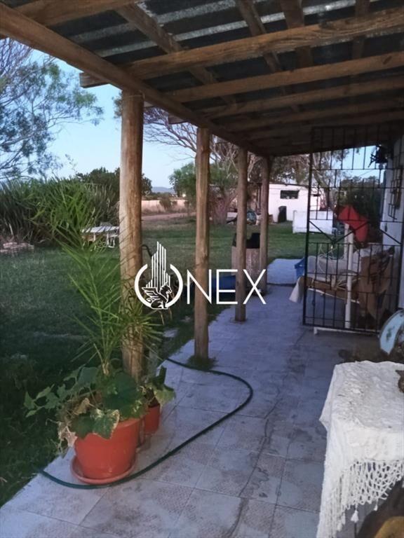 Chacra de media hectárea en Cuchilla Altla