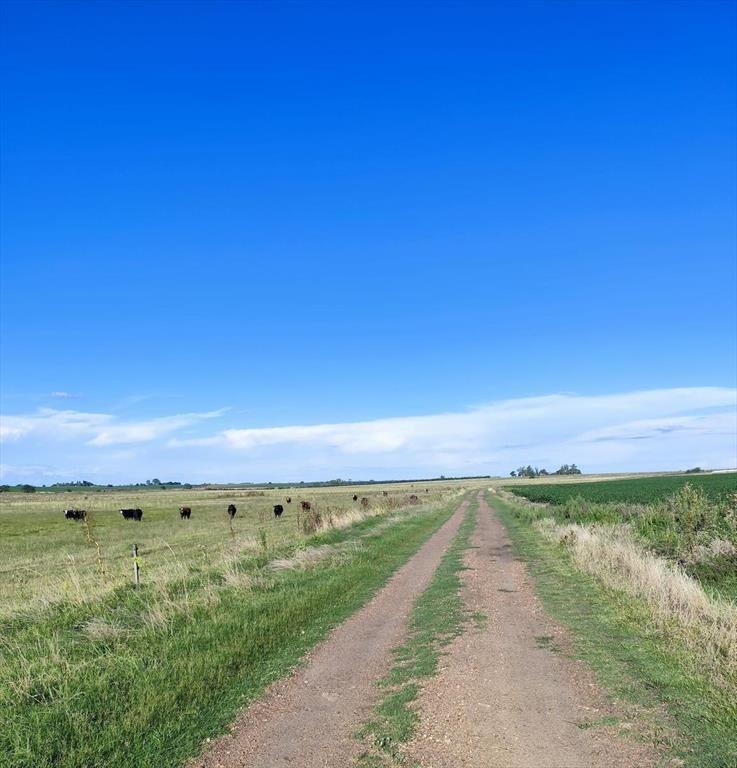 Venta de campo agricola ganadero en Young Rio Negro
