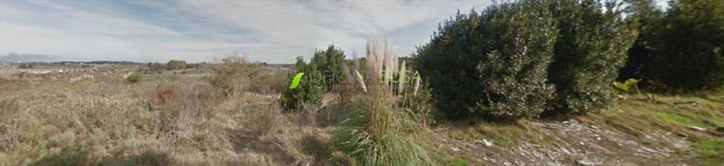 TERRENO DE 3 HECTAREAS EN ZONA DE EXPANSION DE LA