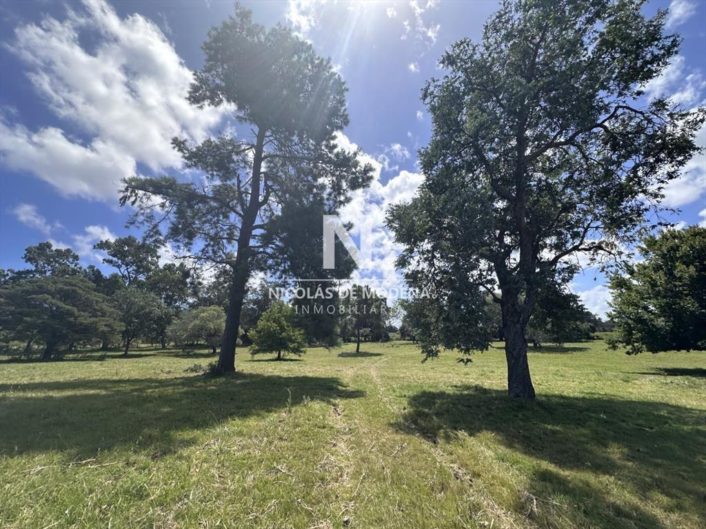 Vende Terreno ideal para desarrollo de barrio del