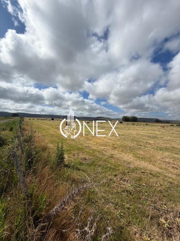 Venta de campo en Aiguá, Maldonado.