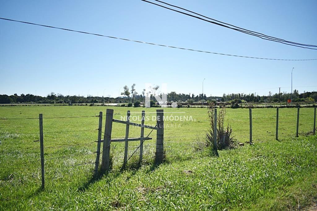 CHACRA SAN CARLOS RUTA 9