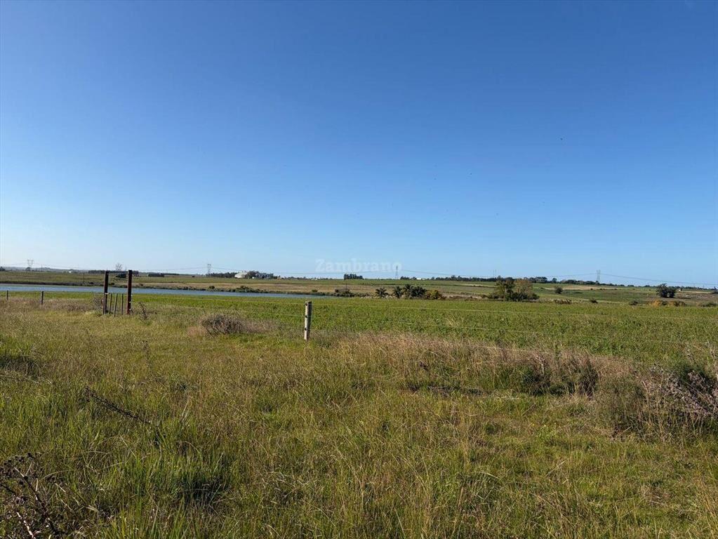 Venta Campo Canelones
