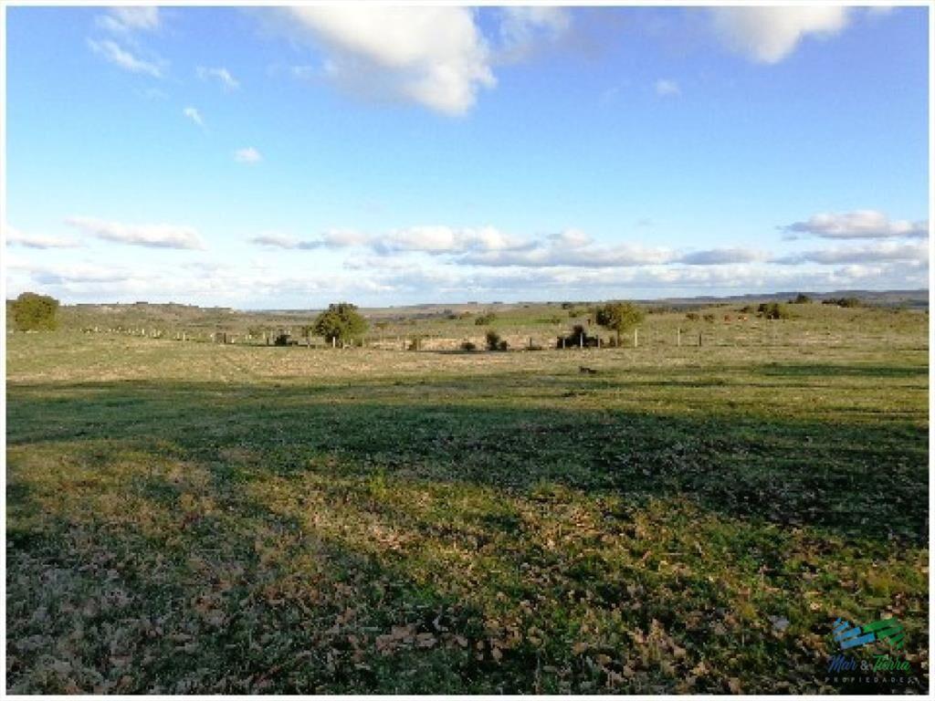 Pintoresco campo Ganadero muy bien ubicado.