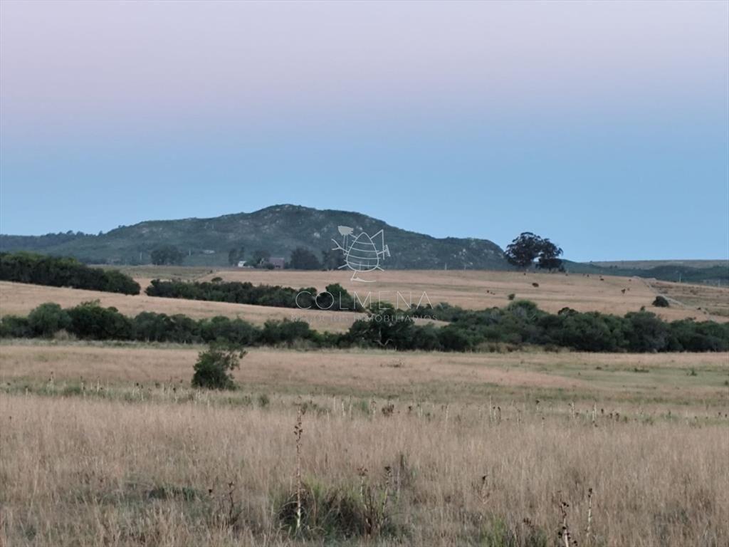 Campo de 30 has en Paso de Dutra