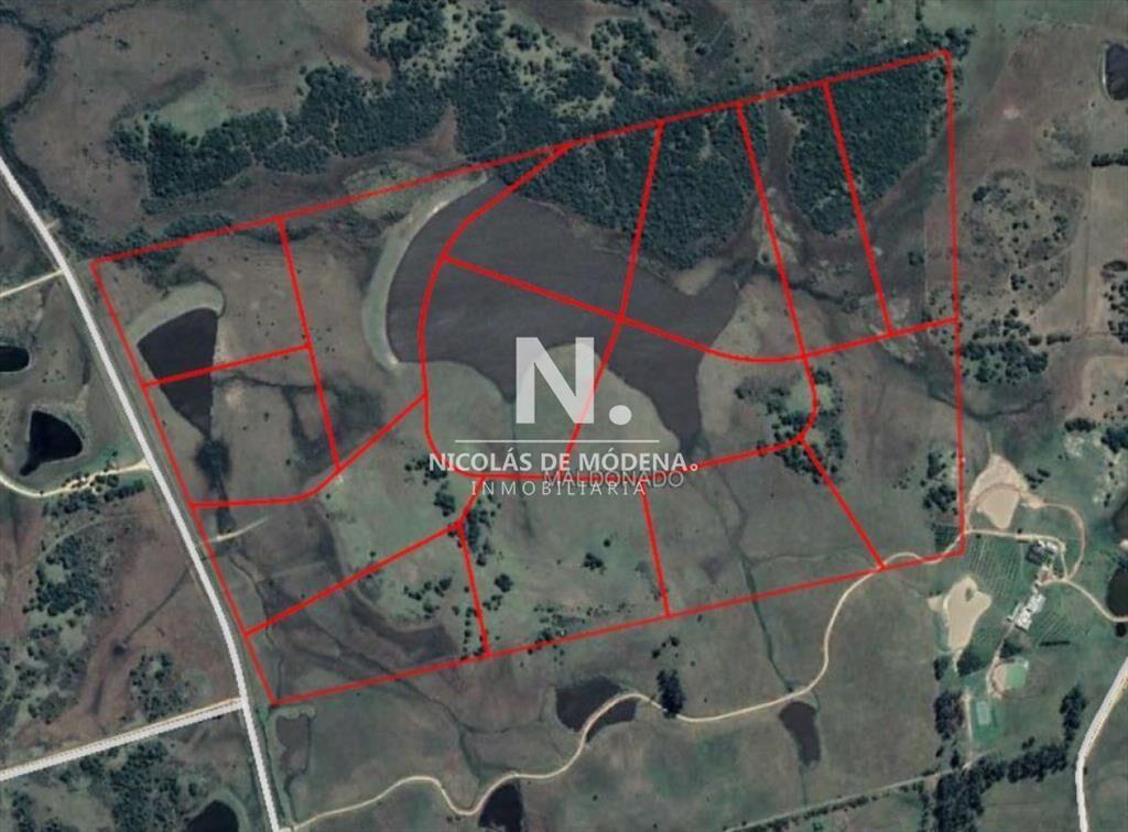 Campo en José Ignacio