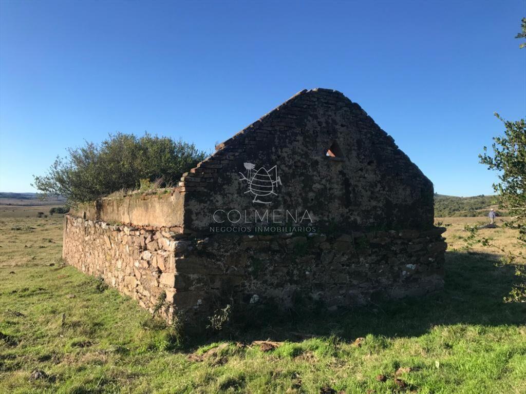 Campo 185 has - Paraje Paso de Dutra