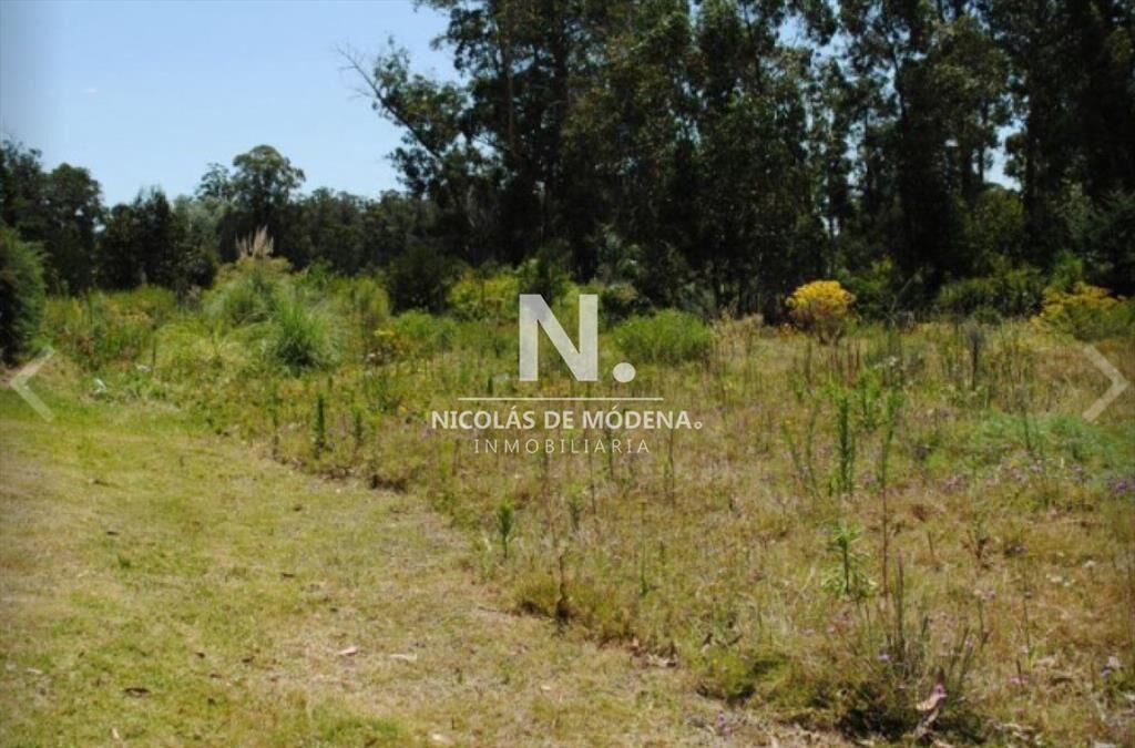 Terreno en venta en Golf Punta del Este