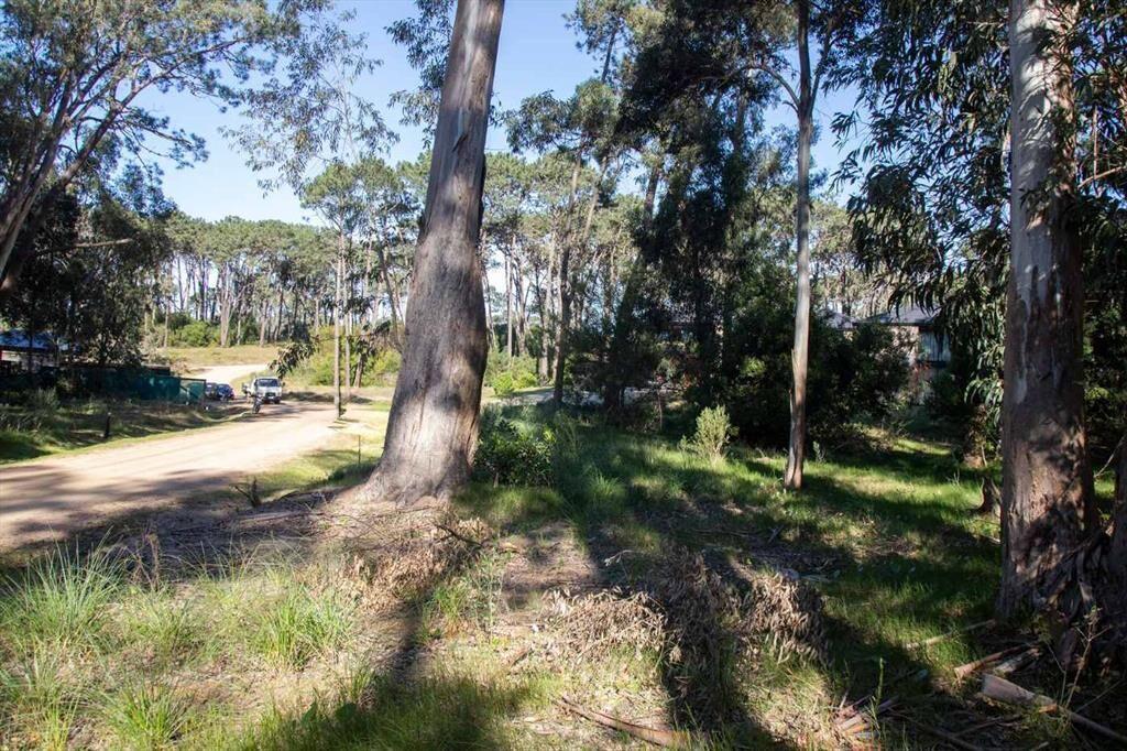 Venta  terreno Reserva Montoya