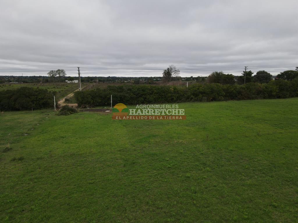 Terreno en Progreso, 360 m2 en Jardín de los (8)