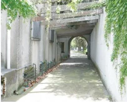 alquiler Casona 3 plantas, sobre agraciada. ex colegio san