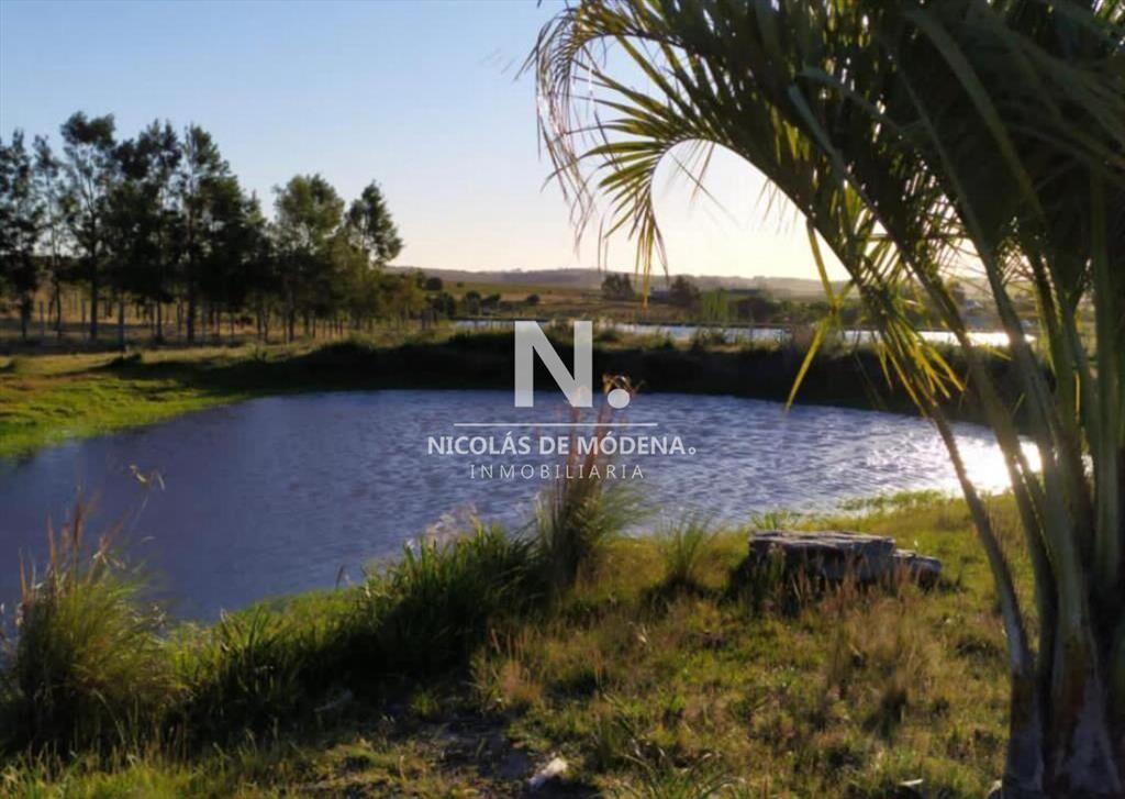 Campo de 5 hectáreas en venta.