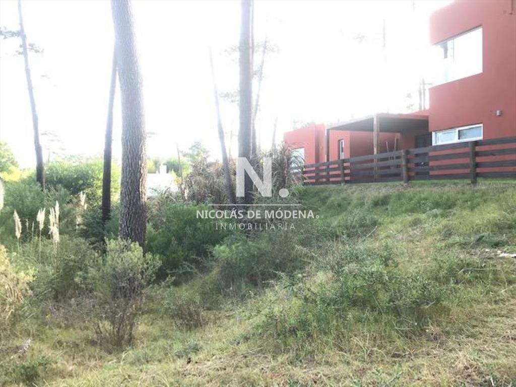 Terreno en Montoya en venta a pocas cuadras del
