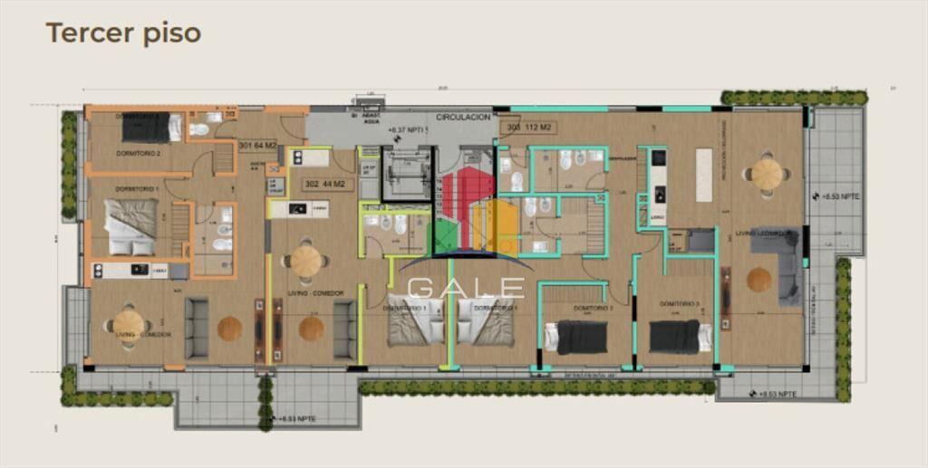 PROYECTO MODELO, nuevo lanzamiento en Punta del