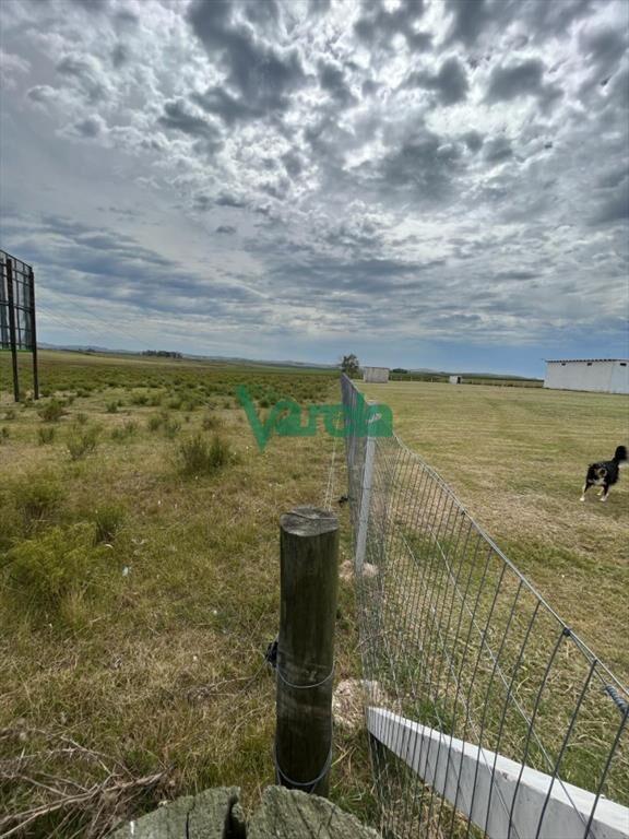 VENTA DE CHACRA EN MALDONADO