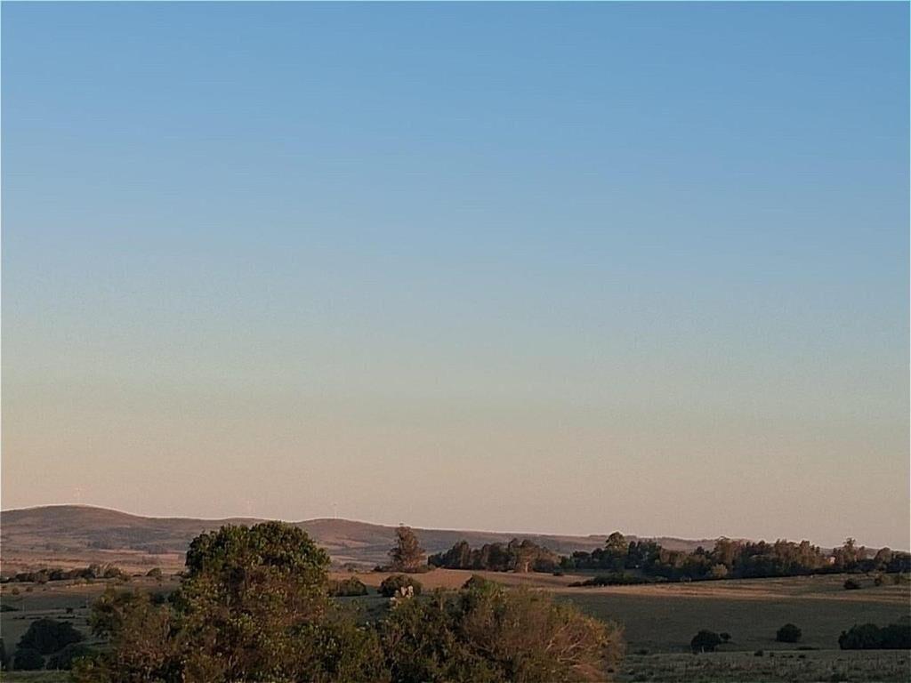 Campo en San Carlos