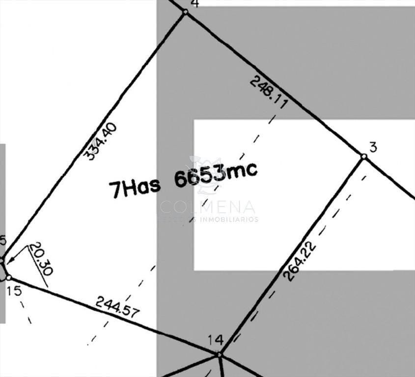 Chacra 7 has con 6653 m2 en Laguna del sauce