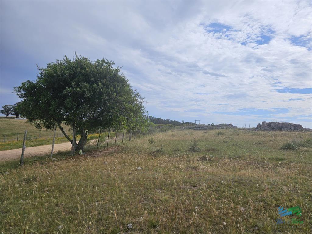 En venta chacra 3 hectareas, proxima ruta 39, a