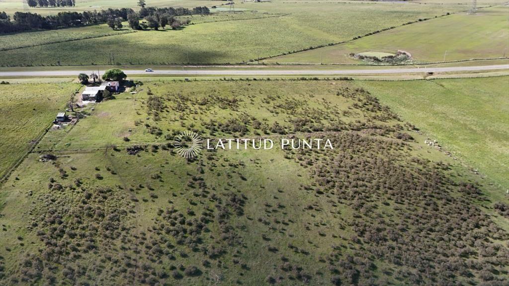 Chacra de 7 has en Ruta 104, Manantiales