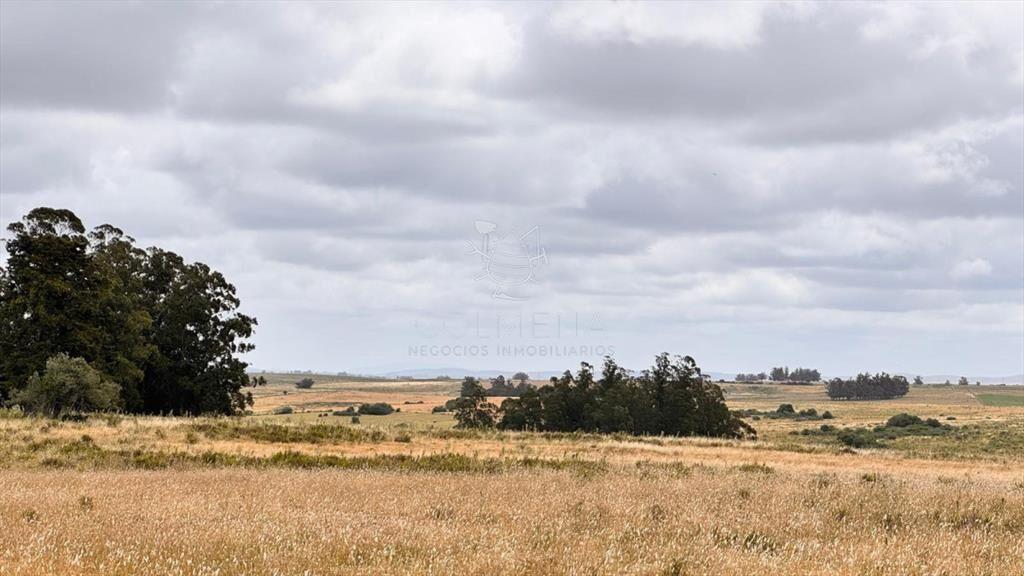 Campo 64 has en paraje Jose Ignacio