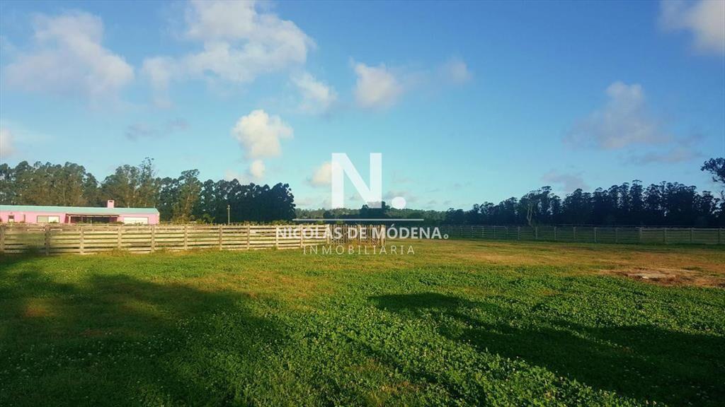 Chacra en Venta de 6 hectareas  en la Pataia ,