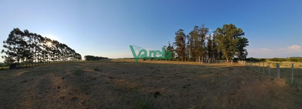 Venta de Campo, Paso del Sordo, Florida, campo de