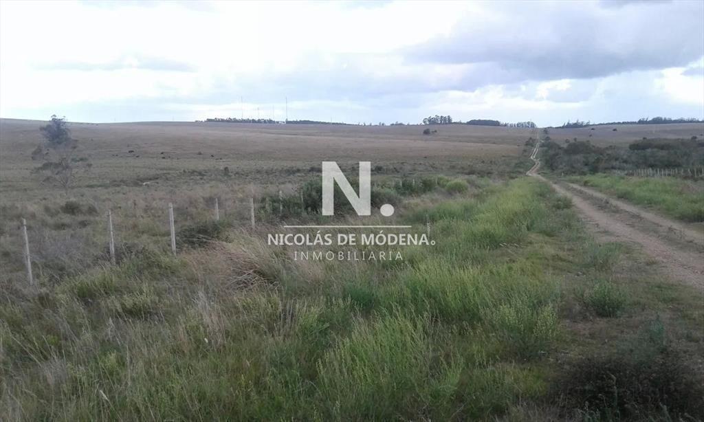 Campo Ruta 9  SAN CARLOS