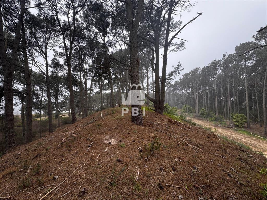 Venta de Terreno en Club del Lago - Ref :