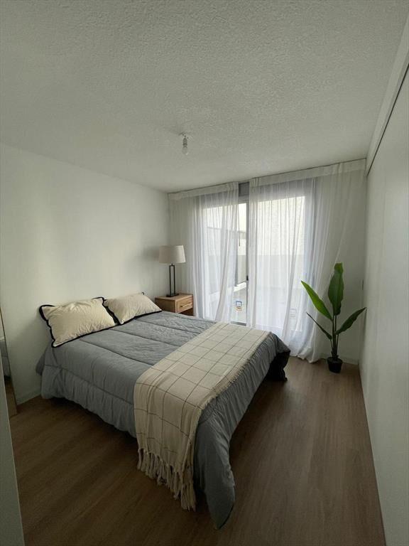 Apartamento a estrenar 1 dormitorio con gran patio en Cordó