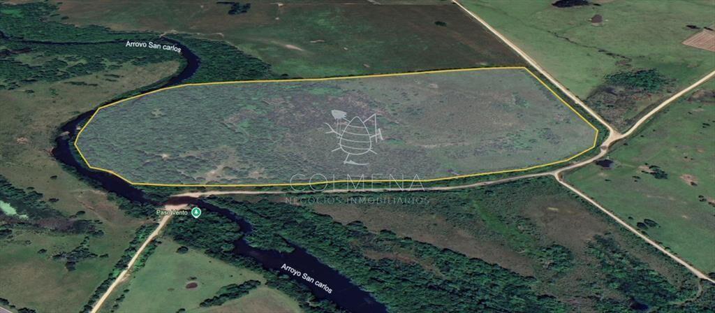 Campo con costa de arroyo.
