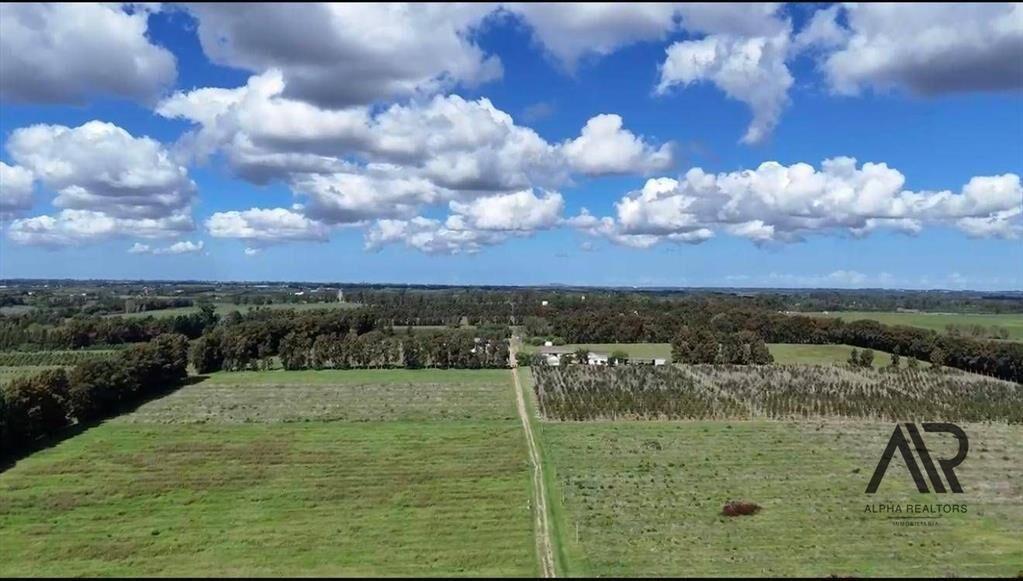 Campo en venta de 78m2 ubicado en Melilla