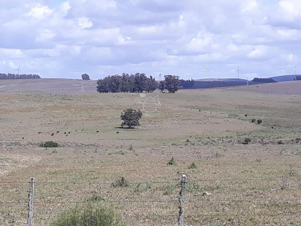 Campo 18 has en las Cañas - Consulte!!!!!!
