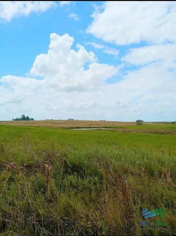 150 Has Campo Agrícola Ganadero a tan solo 10 de