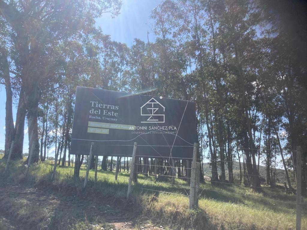 Campo Cerro Aspero Rocha