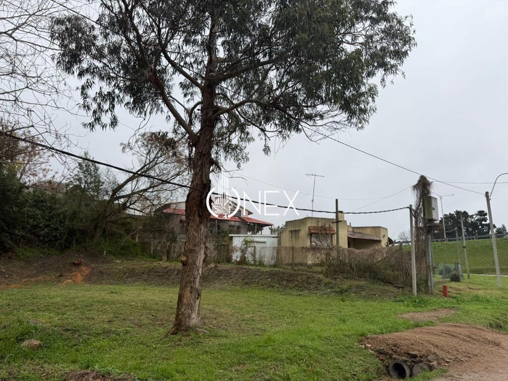 Se vende amplio terreno en Atlántida - USD