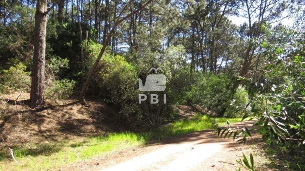 Terreno en venta Club Del Lago - Ref : PBI1151
