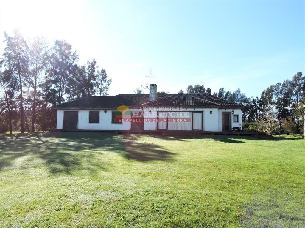 Campo de Olivos en venta, con fábrica de aceite