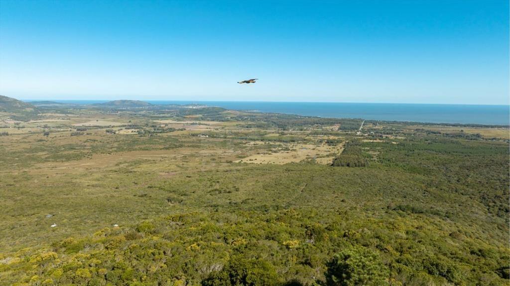 Campo en Venta en Sierra de las Ánimas, Ladera sur