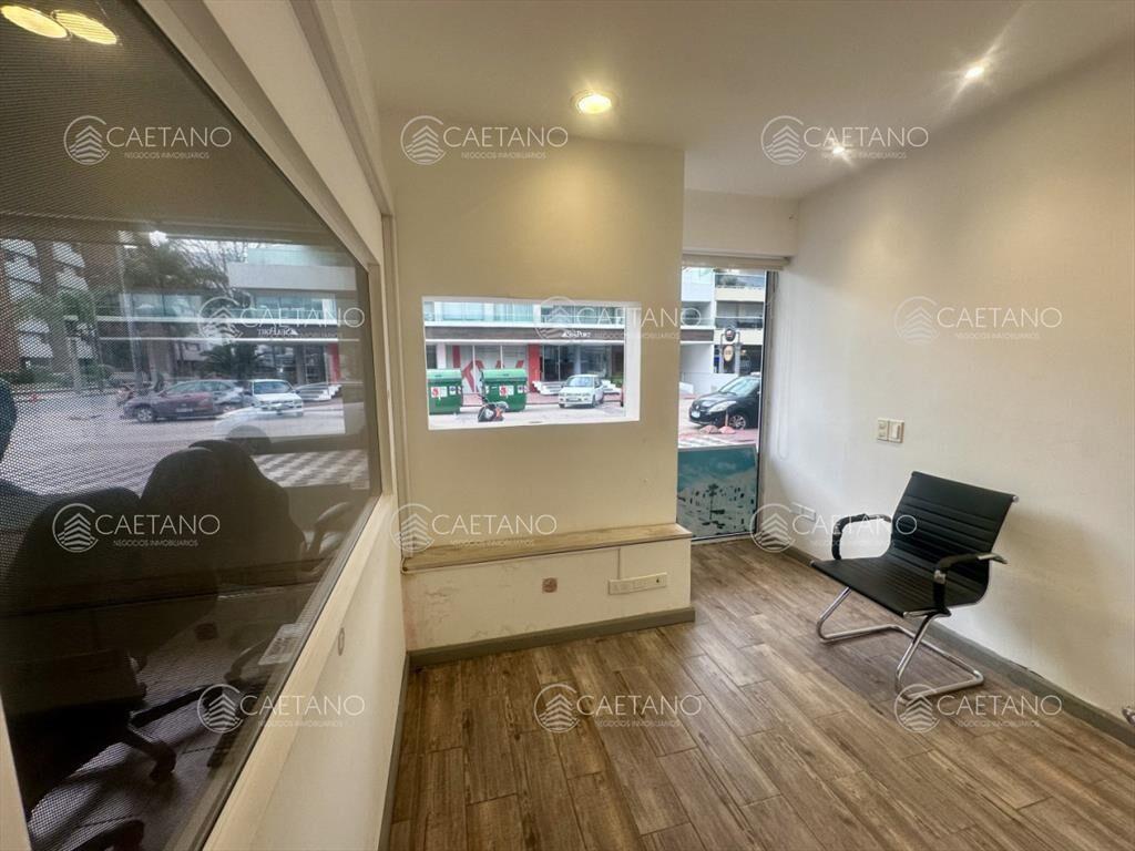 Alquiler anual, local comercial. Peninsula, Punta