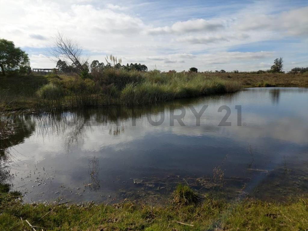 CHACRA SAN JACINTO DE 5HECTAREAS/5DORMITORIOS/PISCINA CLI...