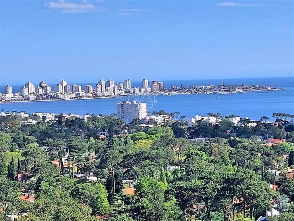 Amplio apartamento en piso alto, con excelente al
