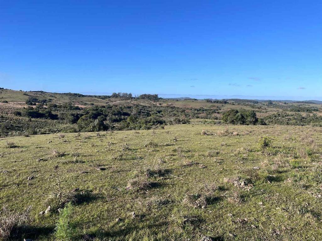 Campo en venta al norte de Garzón - Buen acceso