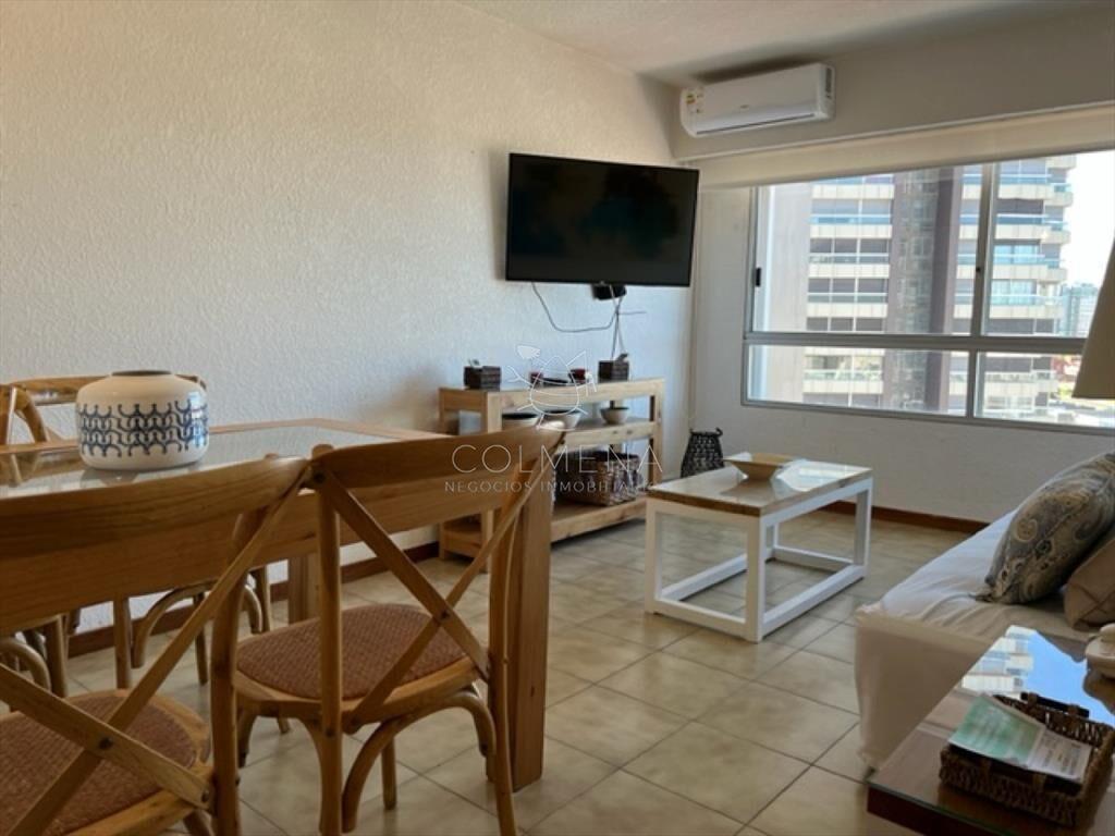 Hermoso apartamento 1 dormitorio con VISTA!