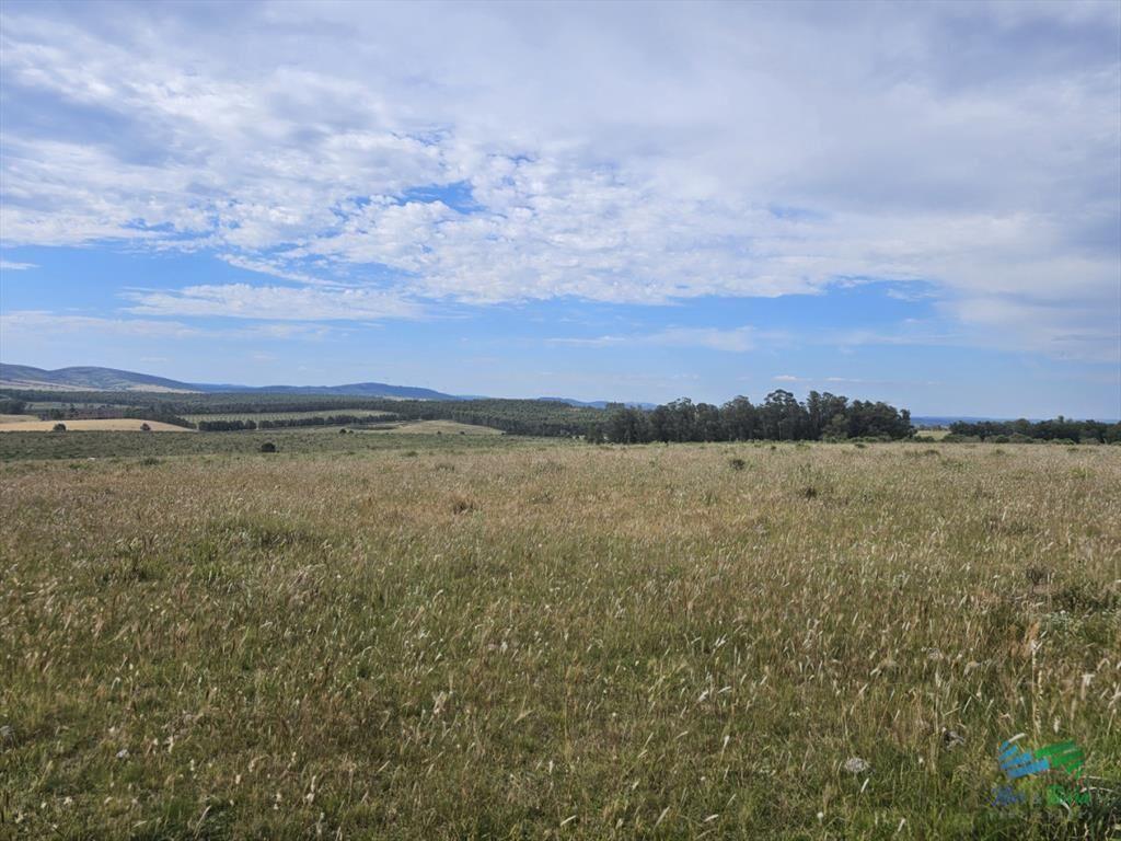 En venta chacra 3 hectareas, proxima ruta 39, a