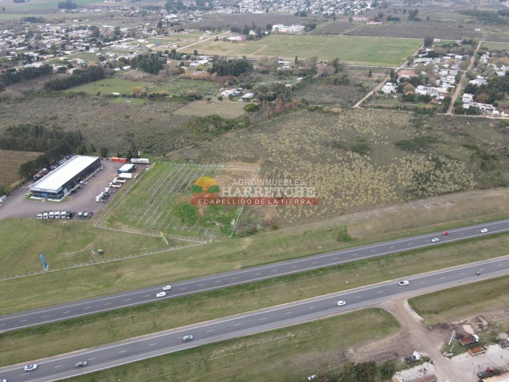 Terreno en venta 37.988 m2 suburbanos sobre ruta 5, logisti