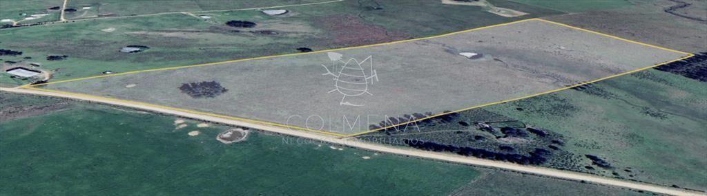 Campo de 12 has 957 m2 en Paraje Partido Norte