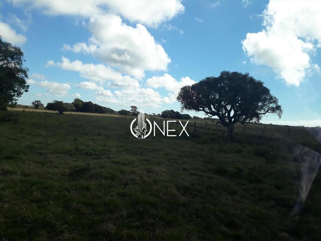 Oportunidad Venta de Campo agricola ganadero 576