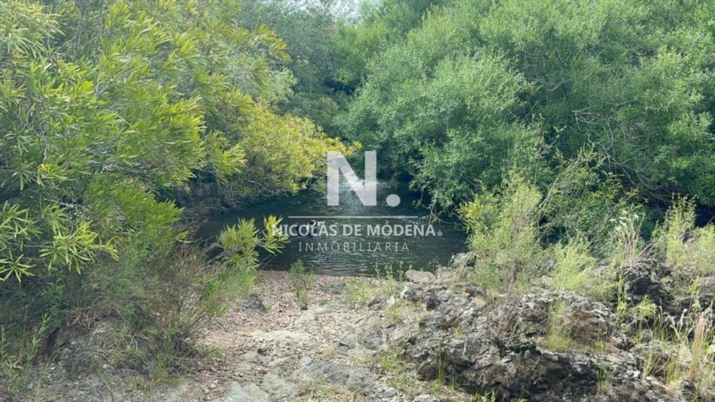 Chacra en Venta de 53 hectareas en Pan de Azucar