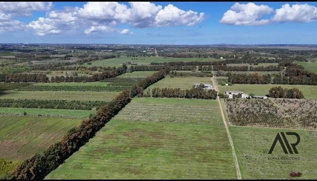 Campo en venta de 78m2 ubicado en Melilla